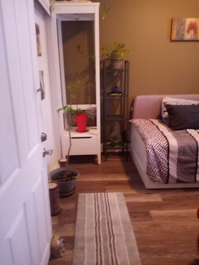 Nairobi's room