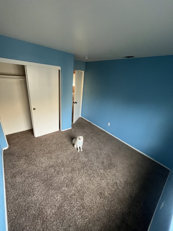 Jonathan's room
