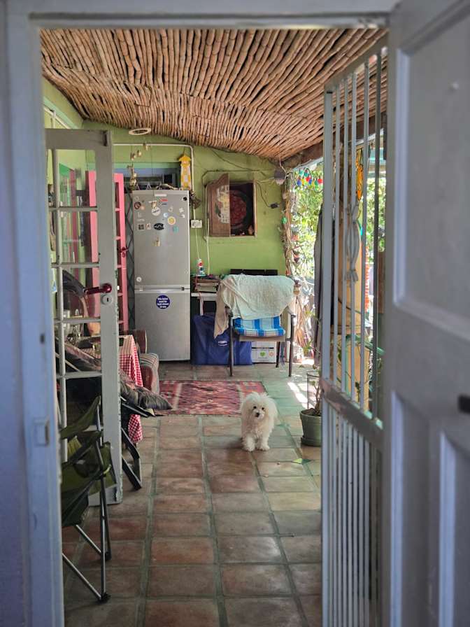 Green Point Tree House's room