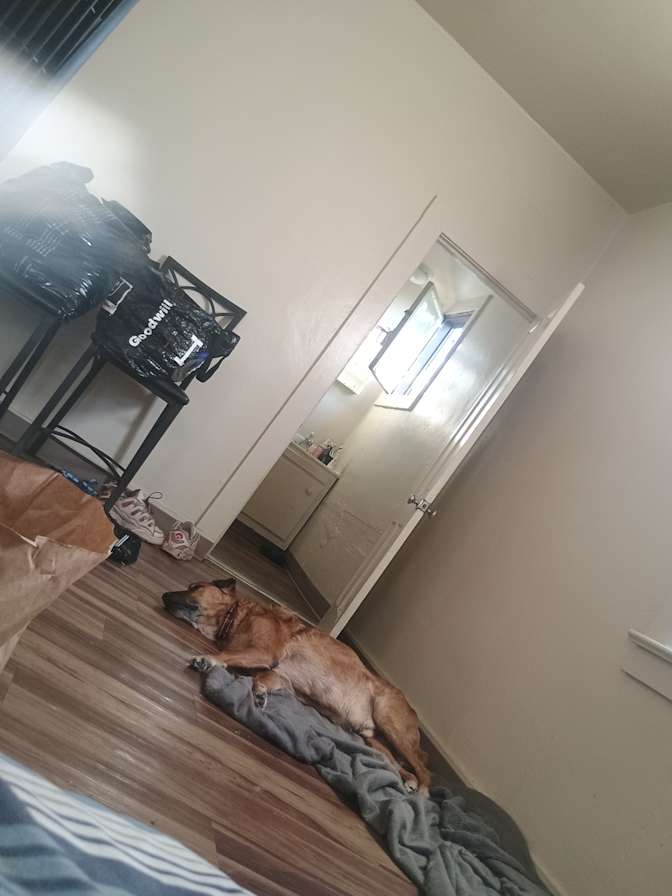 Sho's room