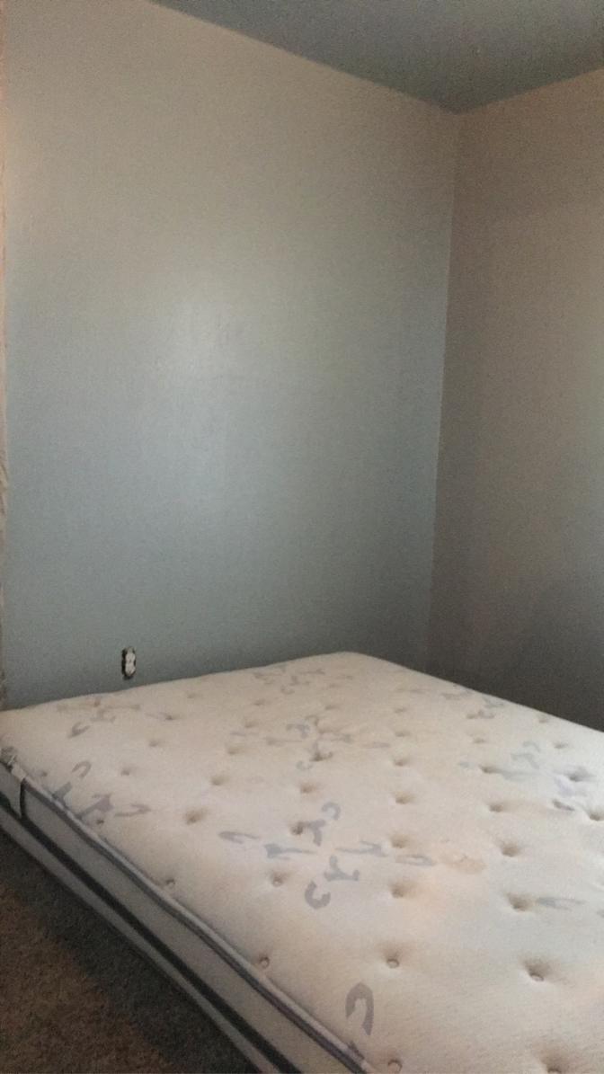 Evelyn's room