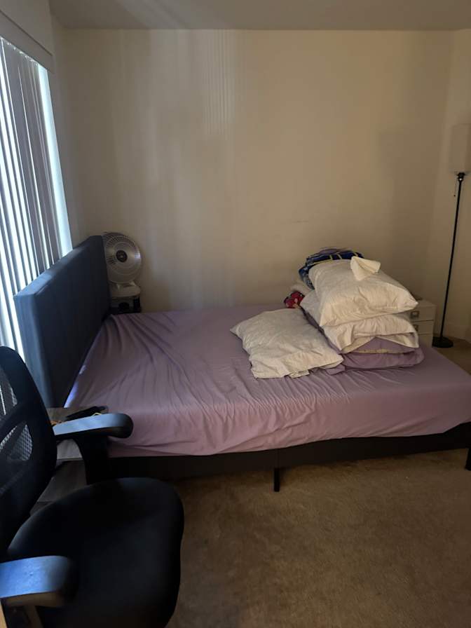 Sophia L's room