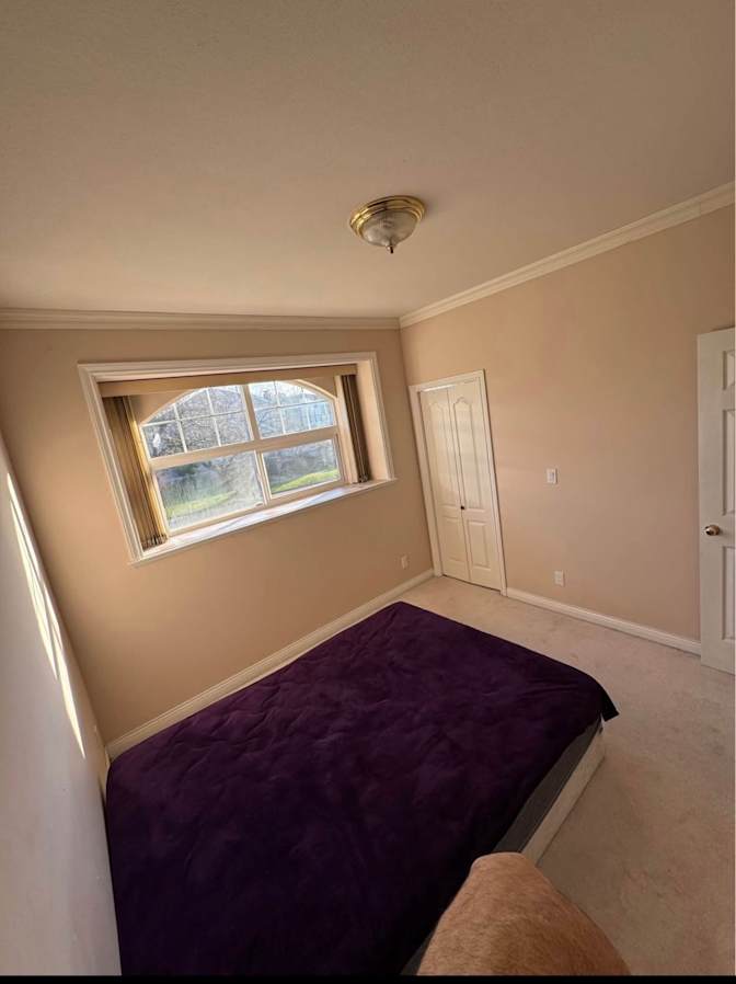 Vinicius Kuwahara's room