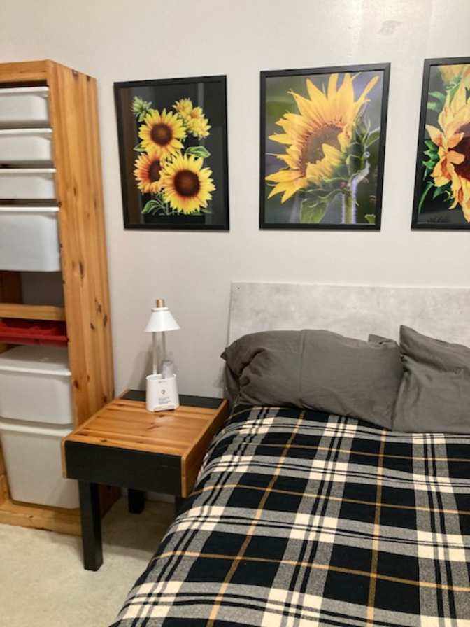 Laurie Petersen's room