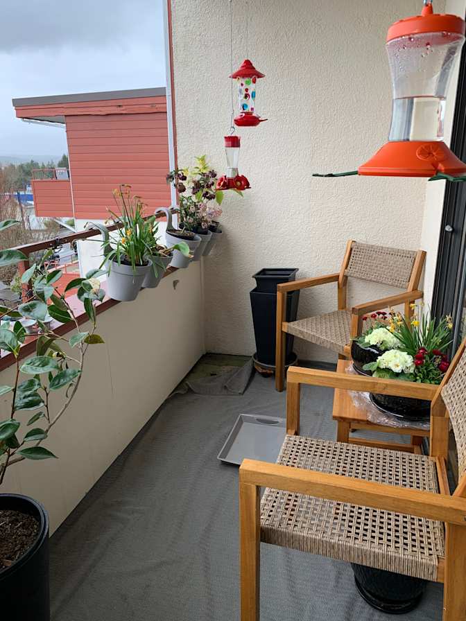 Marie Raymonde Joceline Dupuis's room