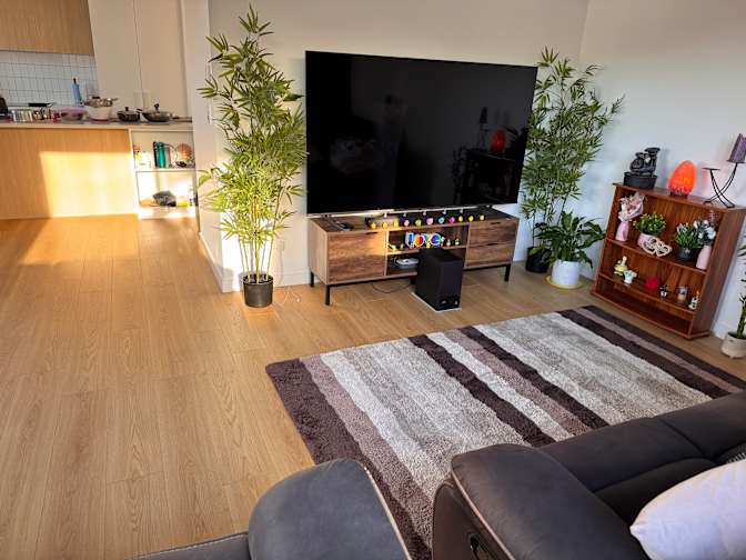 Vish's room