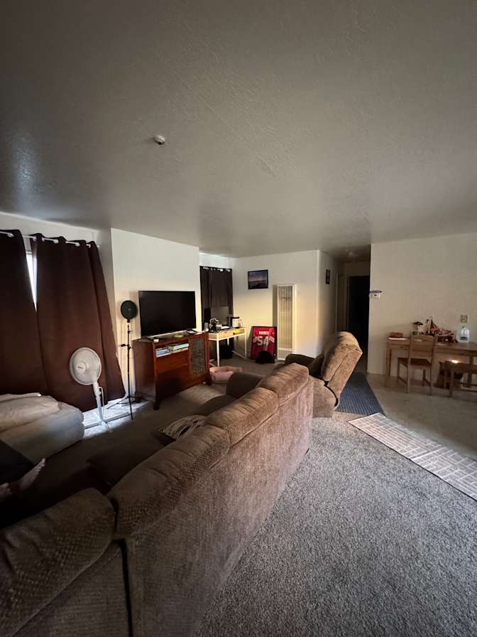 Vincent's room
