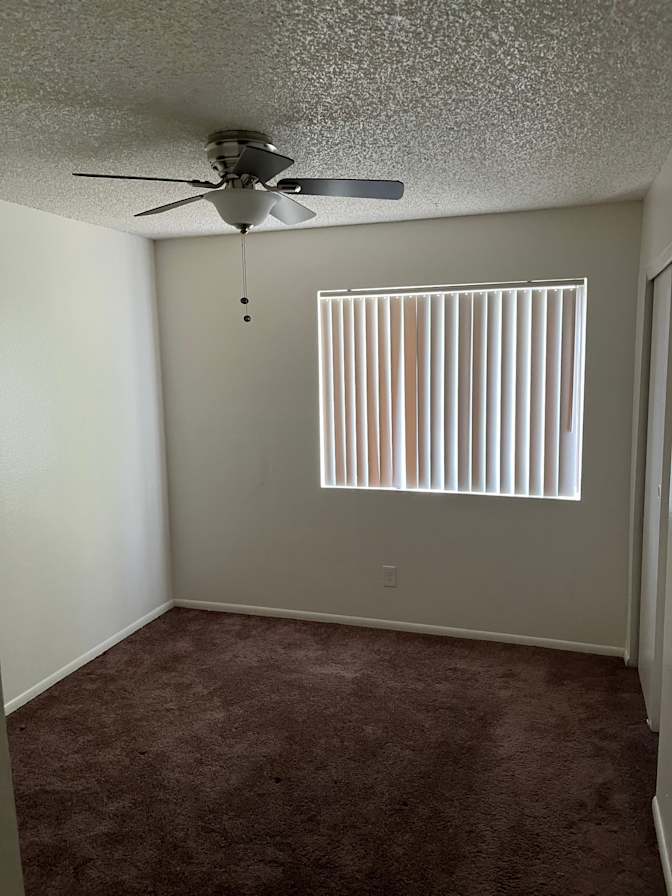 Daniel's room
