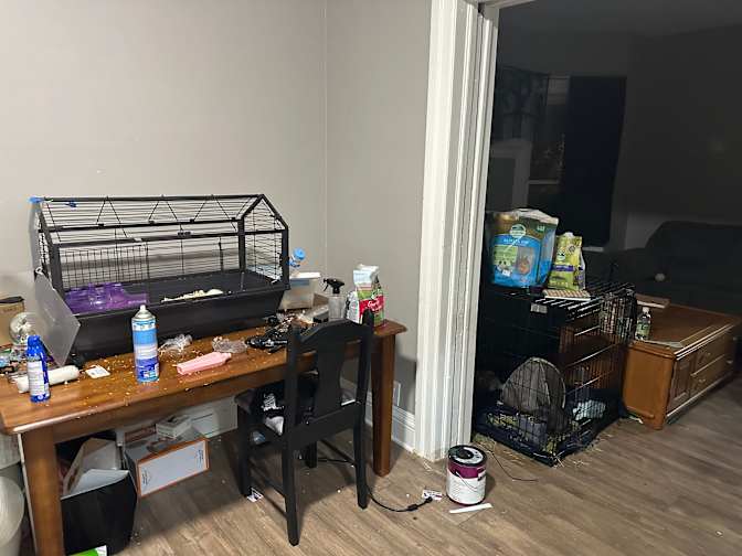 Jasper's room