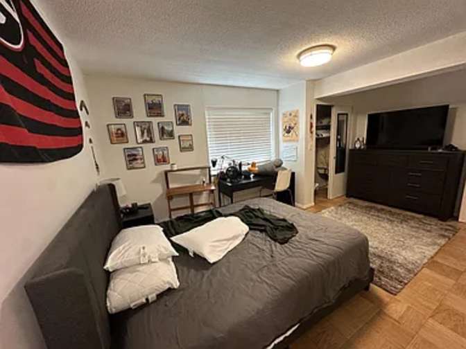 Alnarie's room