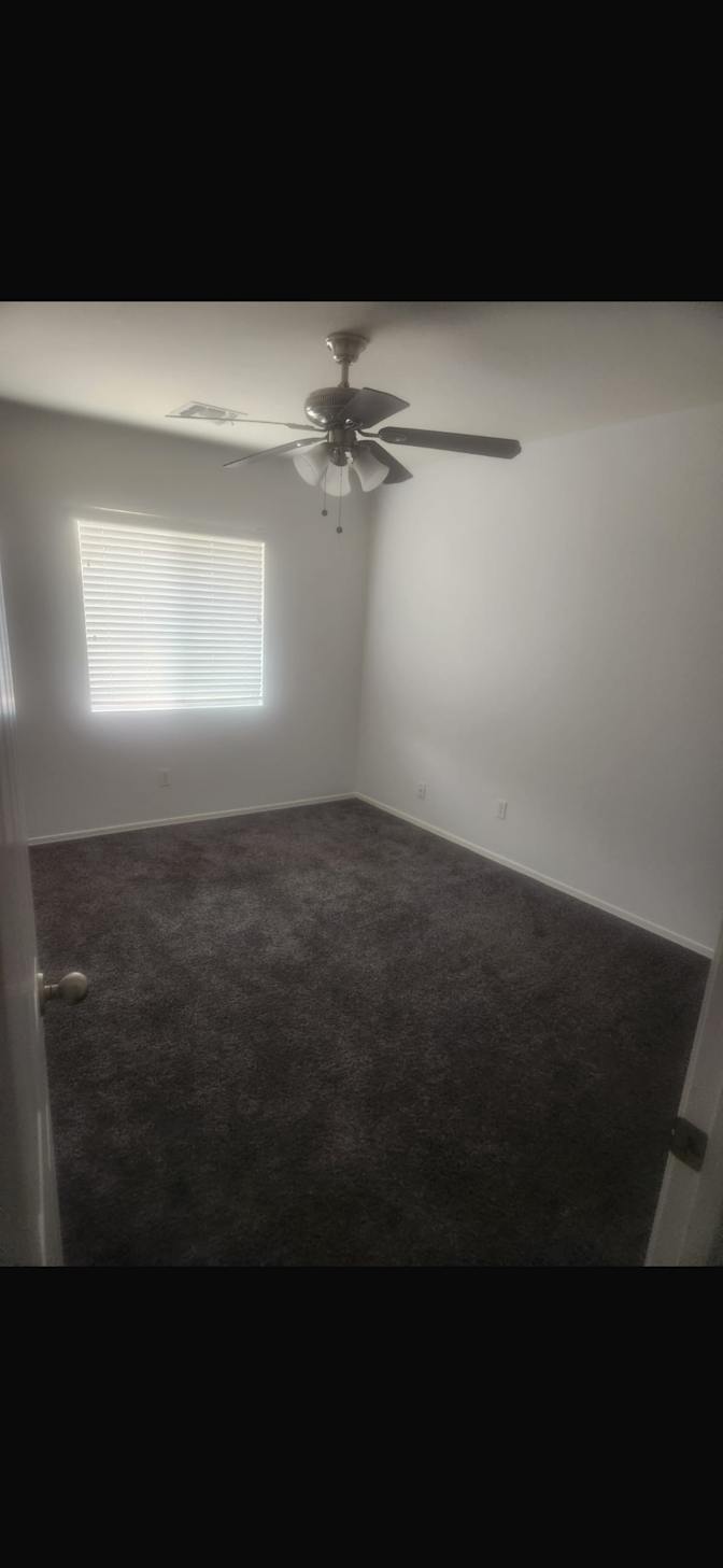 Sophia's room