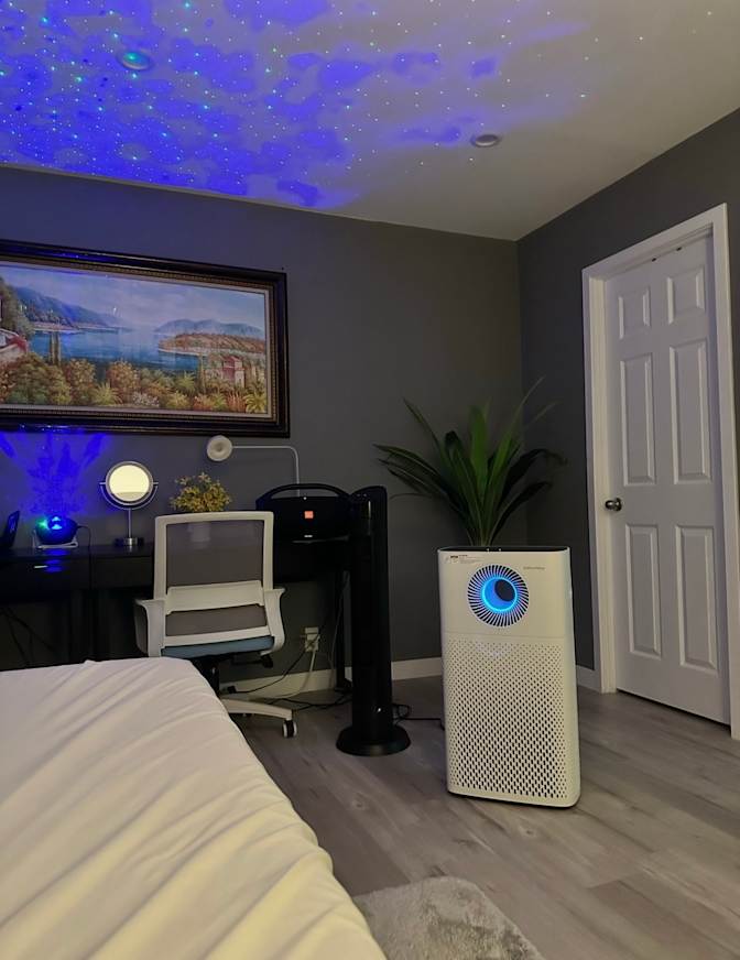 winston's room