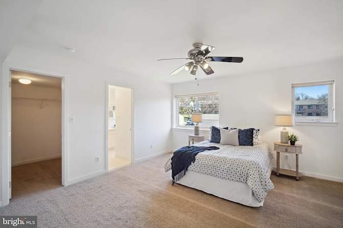 Ted's room