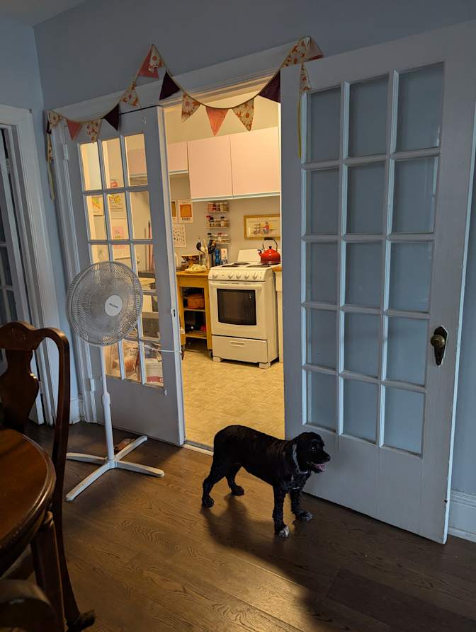 Mackenzie Lavender's room