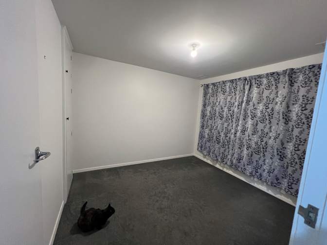 Shannon's room
