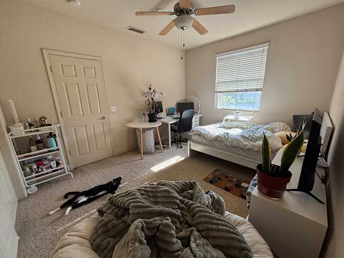 Megan's room