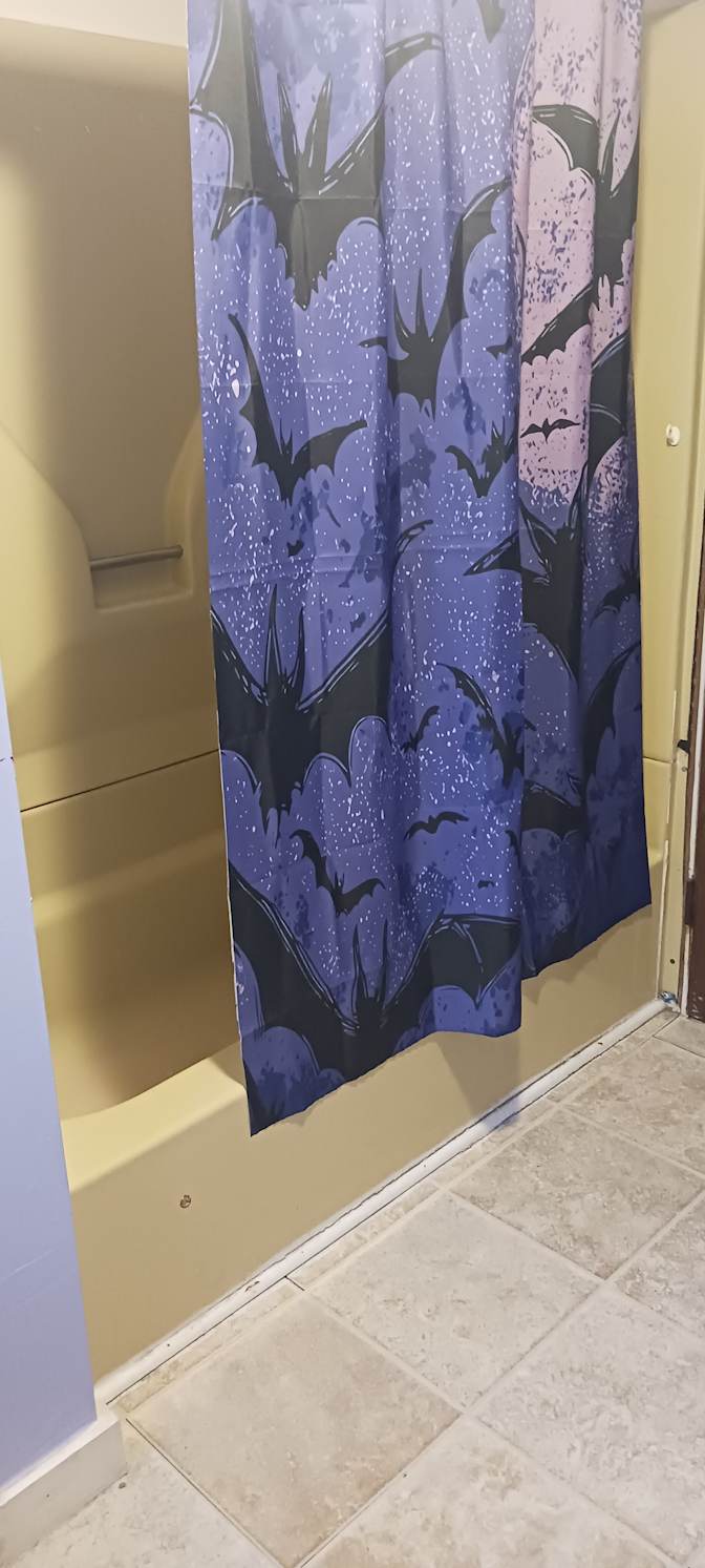 Ginger Moelius's room