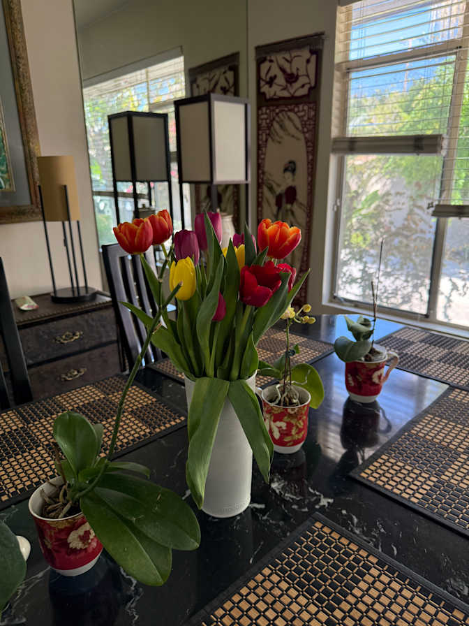 Barbara's room