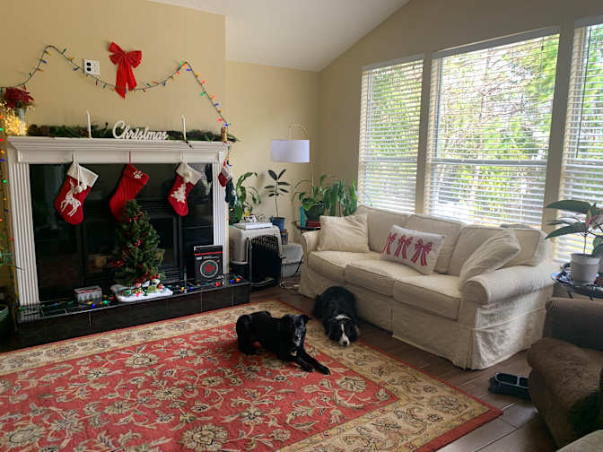 Duane N Ashlyn's room