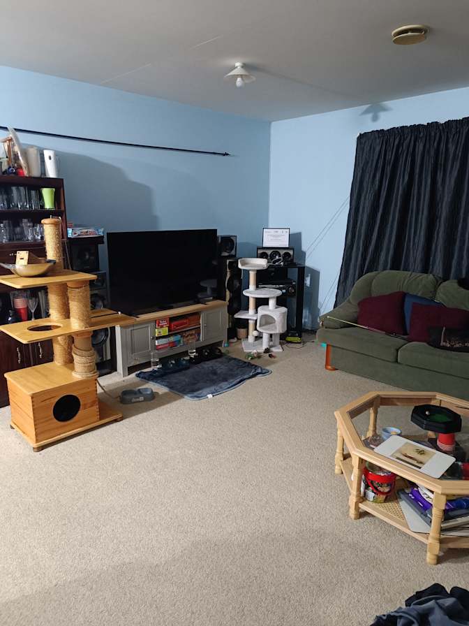 Marc Hastie's room