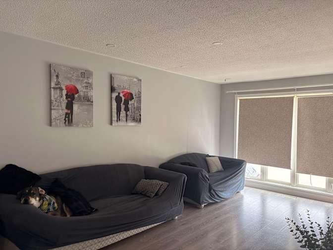 Taylor's room