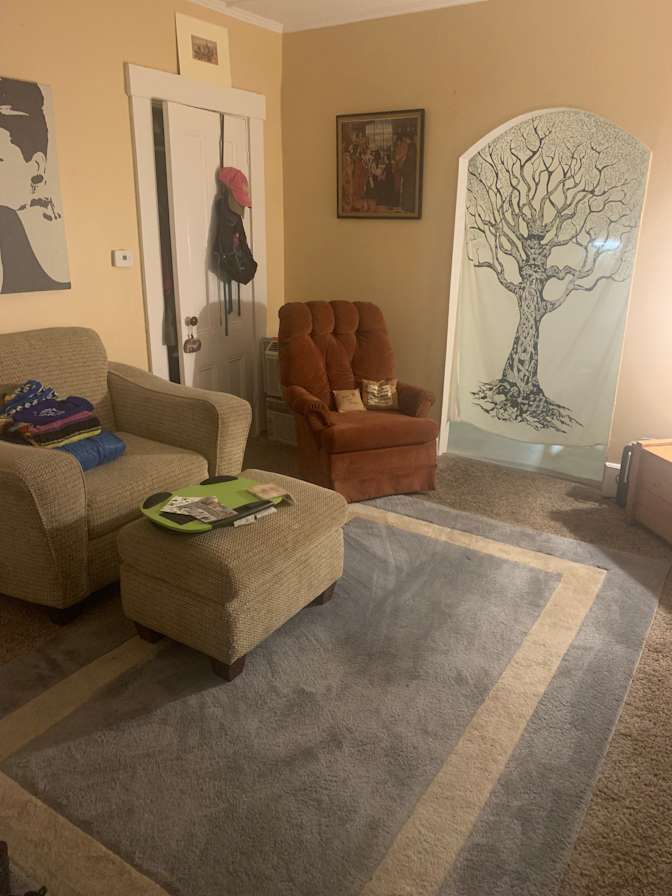 Cat's room