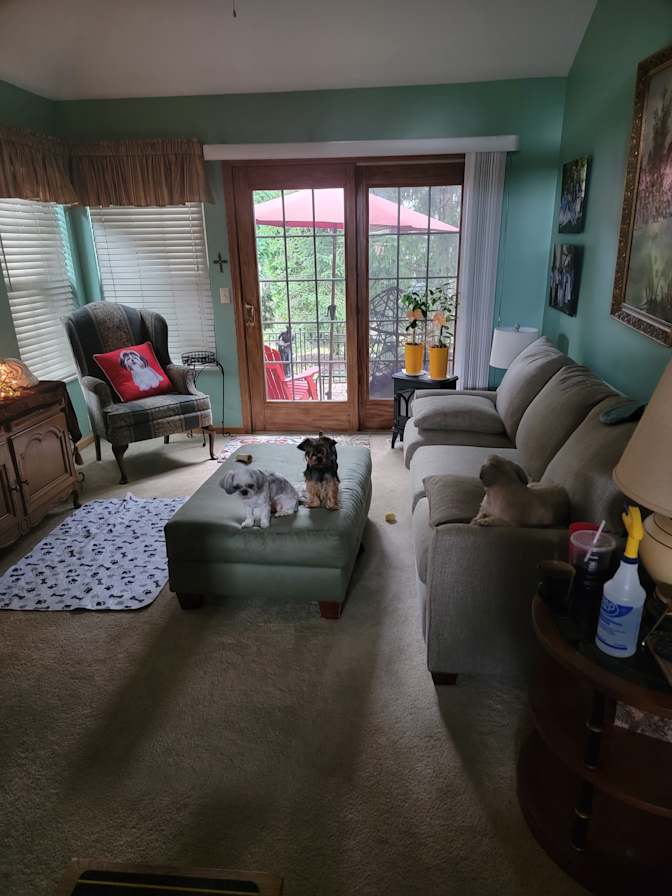 Lisa's room