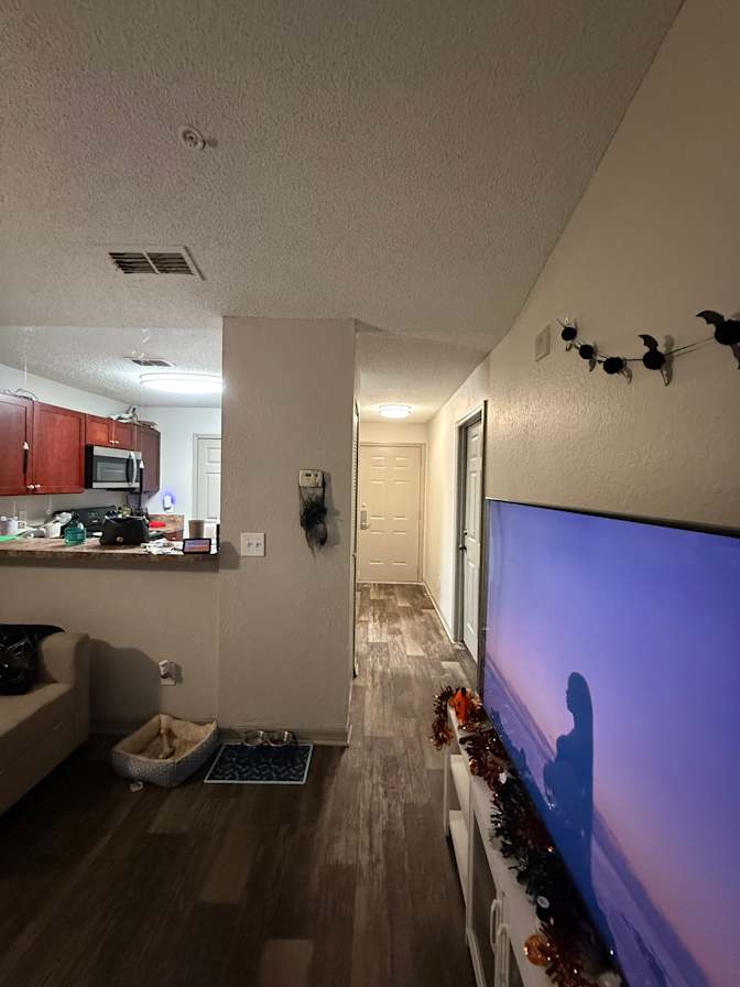 Nicole Richardson Rojas's room