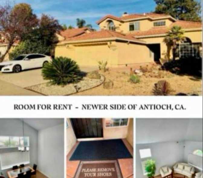 ROOM FOR RENT's room