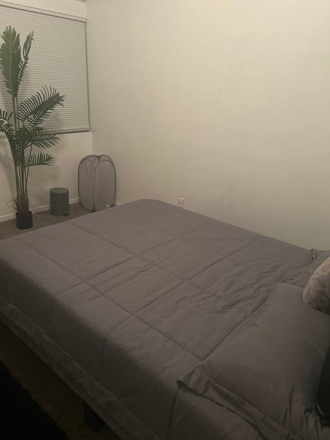 Sonja Jenkins's room