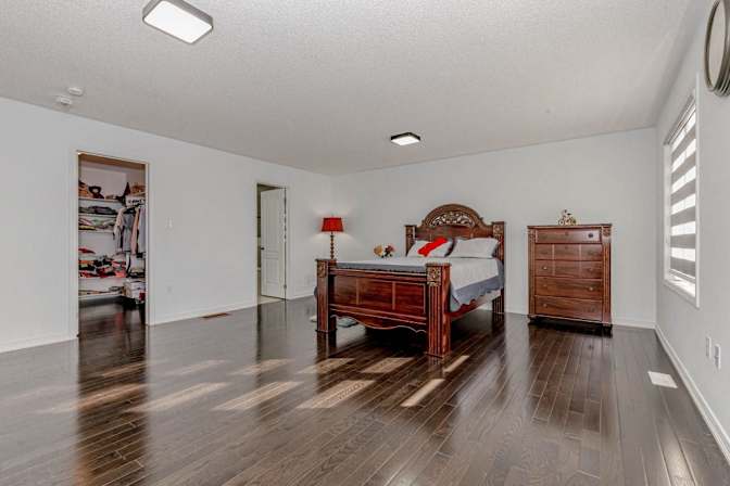 Mandy's room