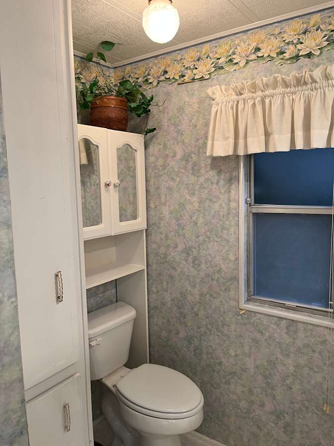 Aviva's room