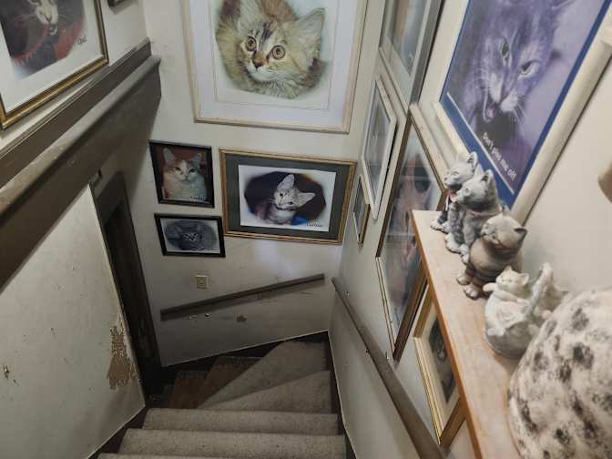 Norma's room