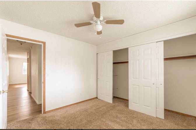 Lily's room