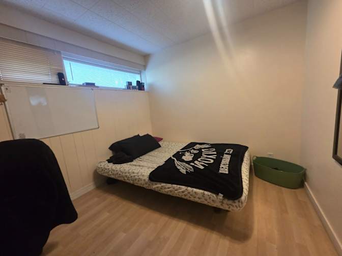 Dragan's room
