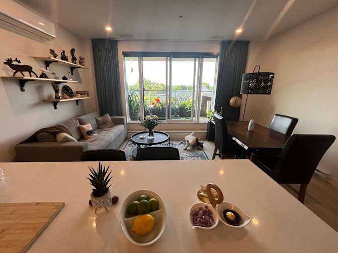 Pauley's room