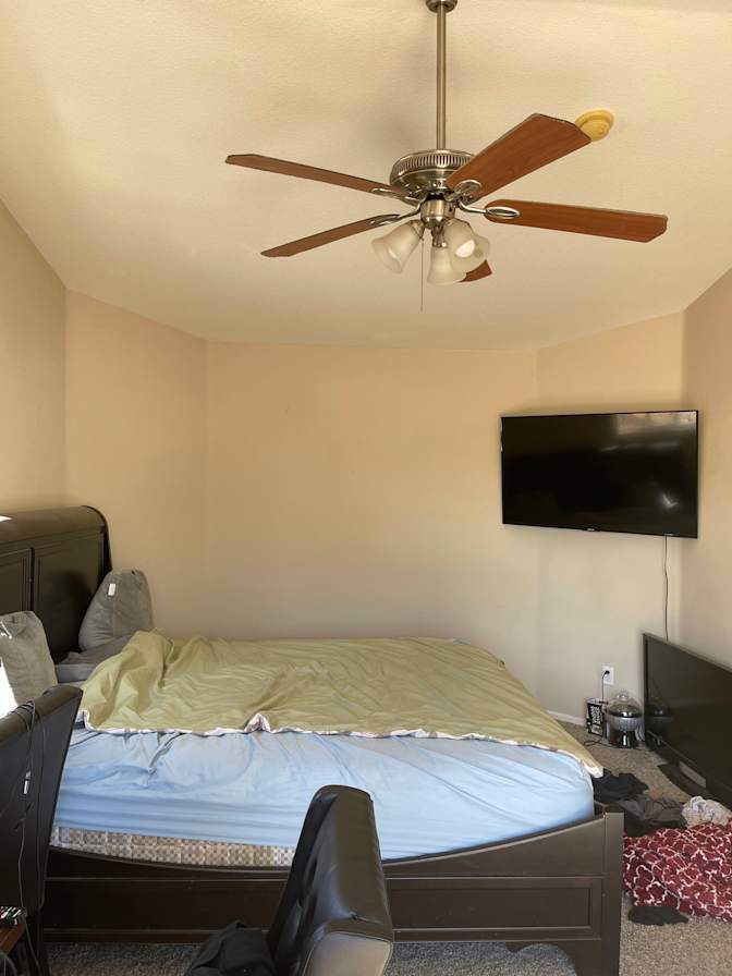 spaintal's room