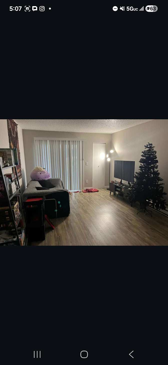 Sulema's room