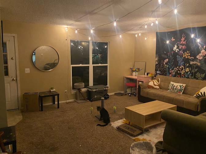 Sage's room