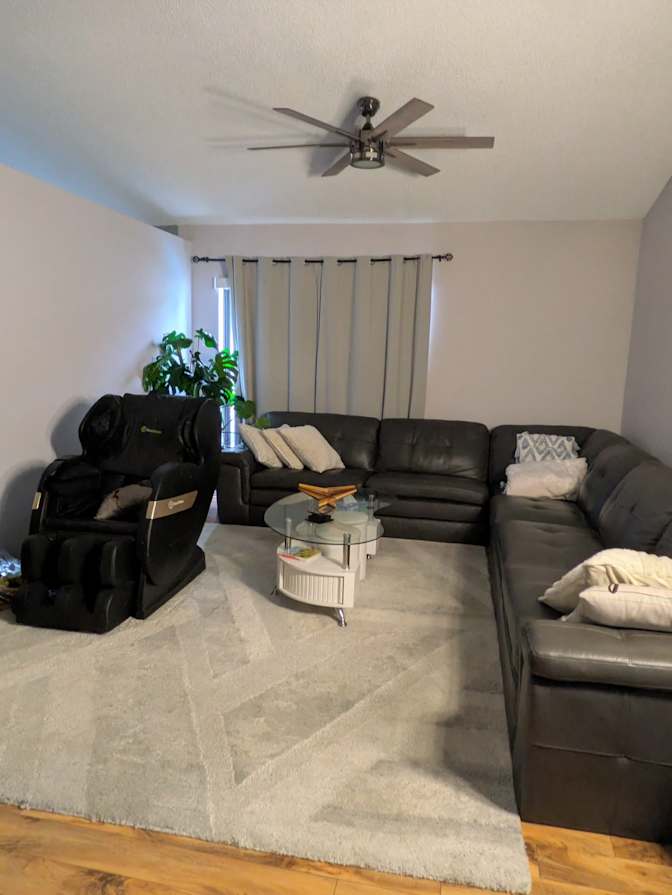 Zoran's room