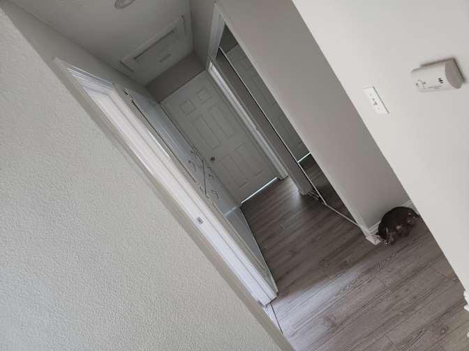 Daisy's room