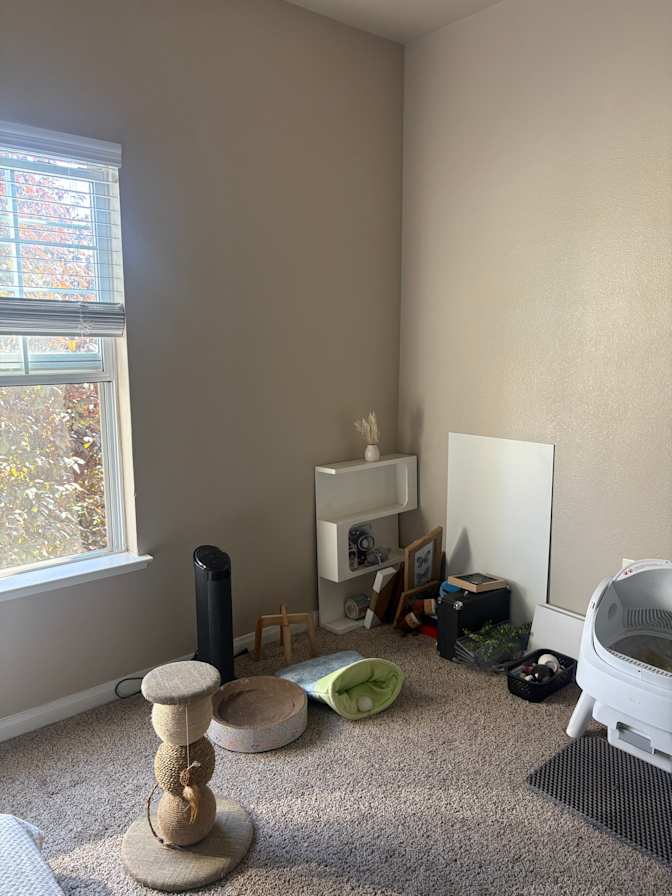 Tahlia's room