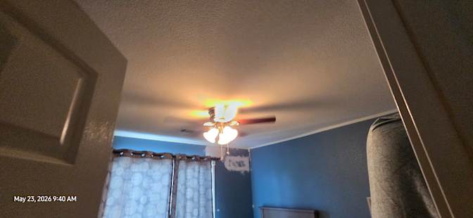 avelino's room