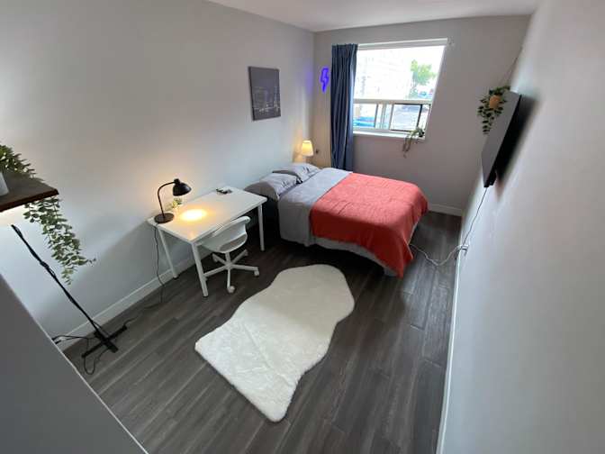 Harrington Toronto's room