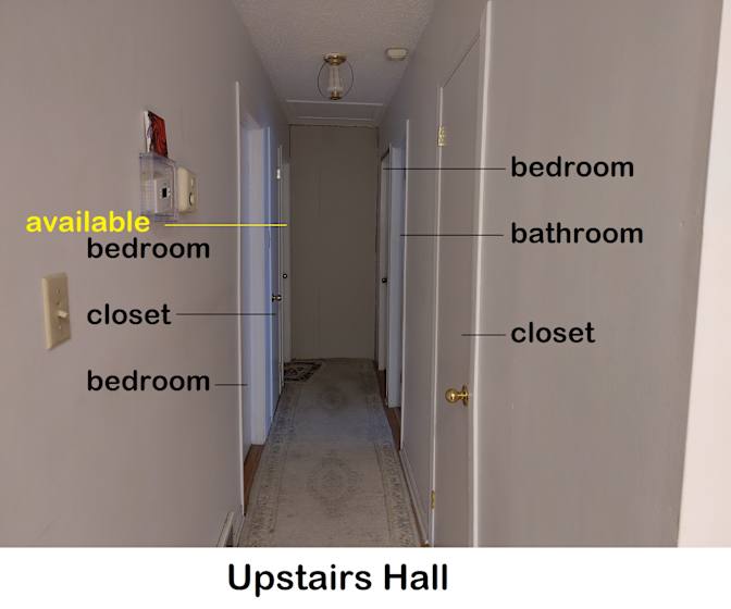Serp's room