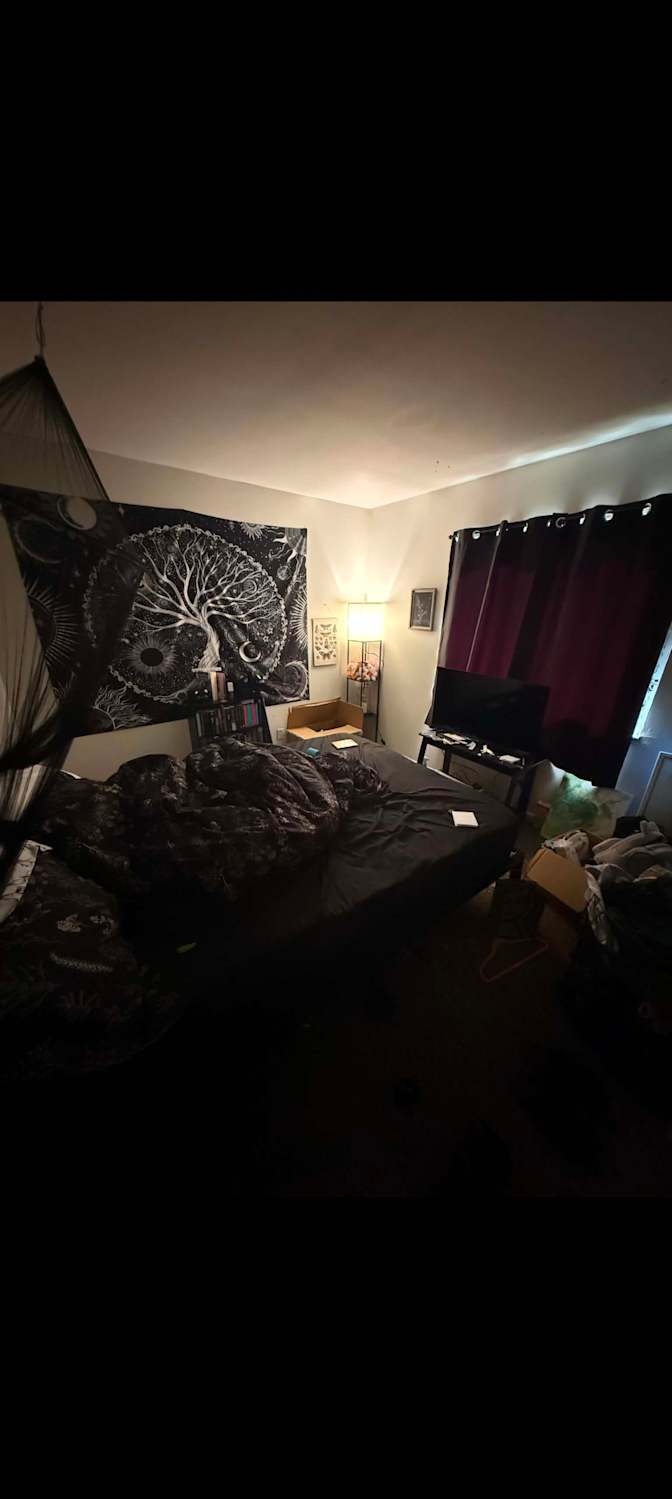 Amy's room