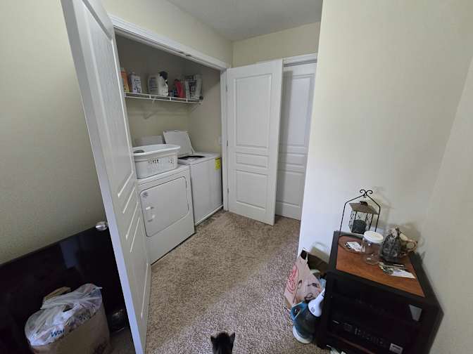 Anna Rice's room