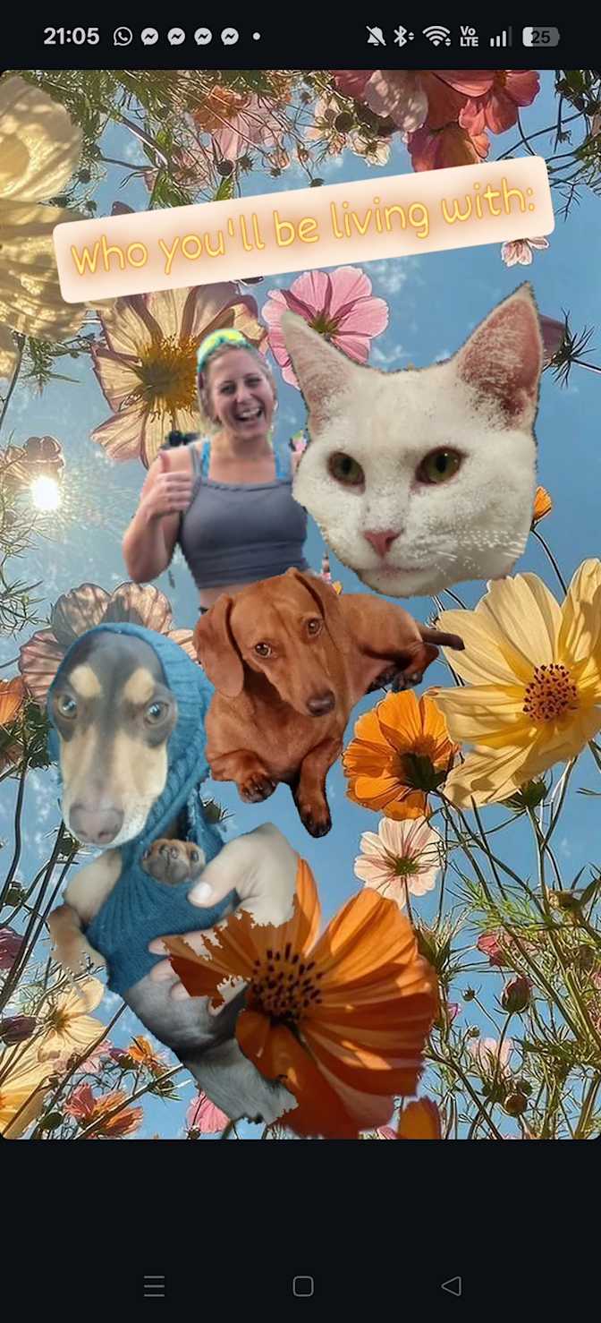 Molly's room