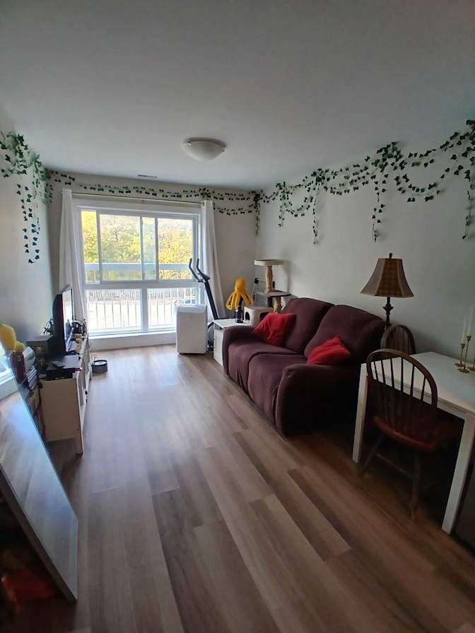 Elena's room
