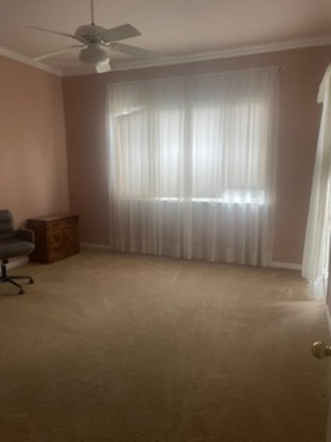 Ann's room